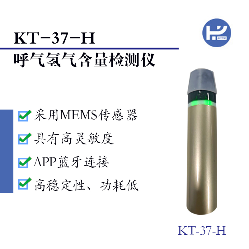 KT-37-H氢气含量检测仪